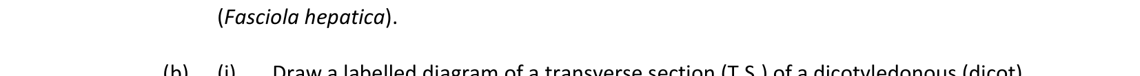 2019 Q8 question