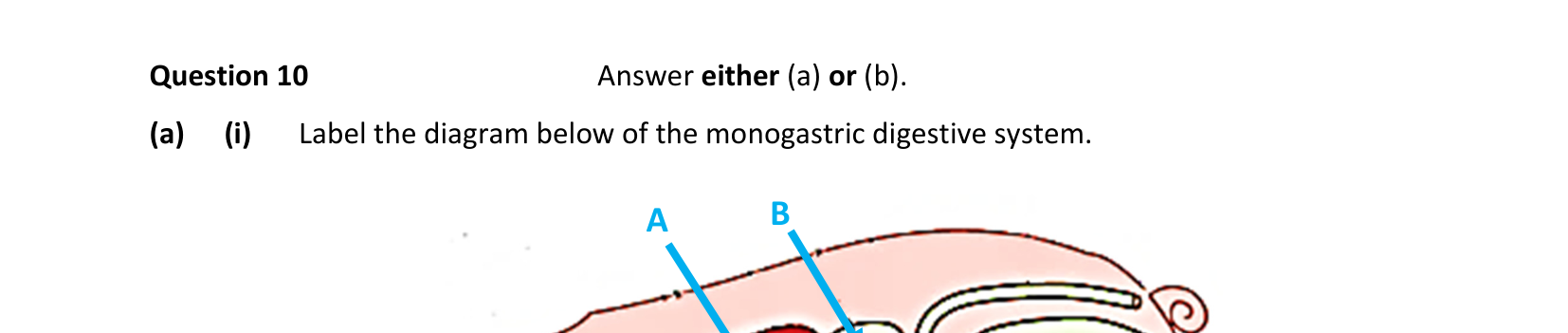 2023 Q10 question