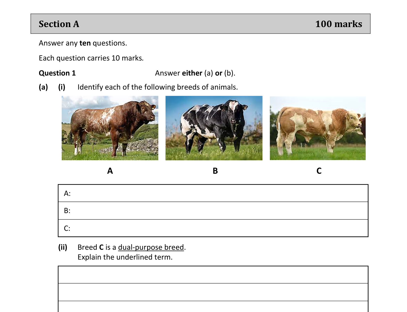 2023 Q1 question