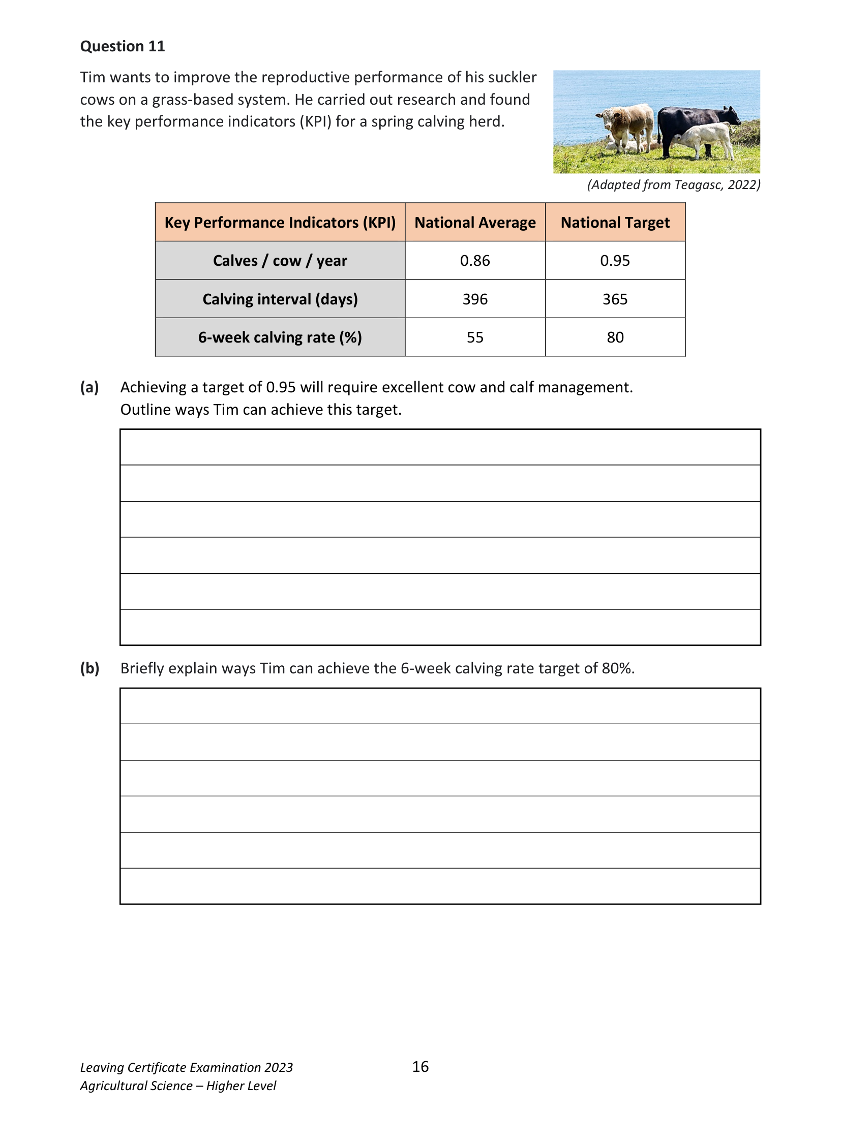 2023 Q11 question