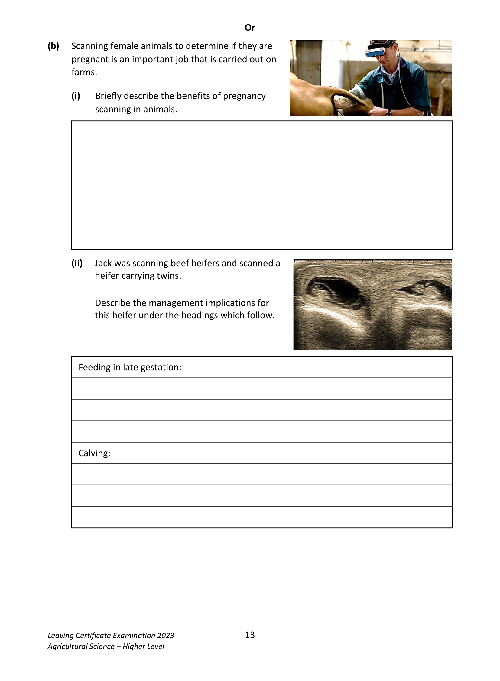 2023 Q9 question