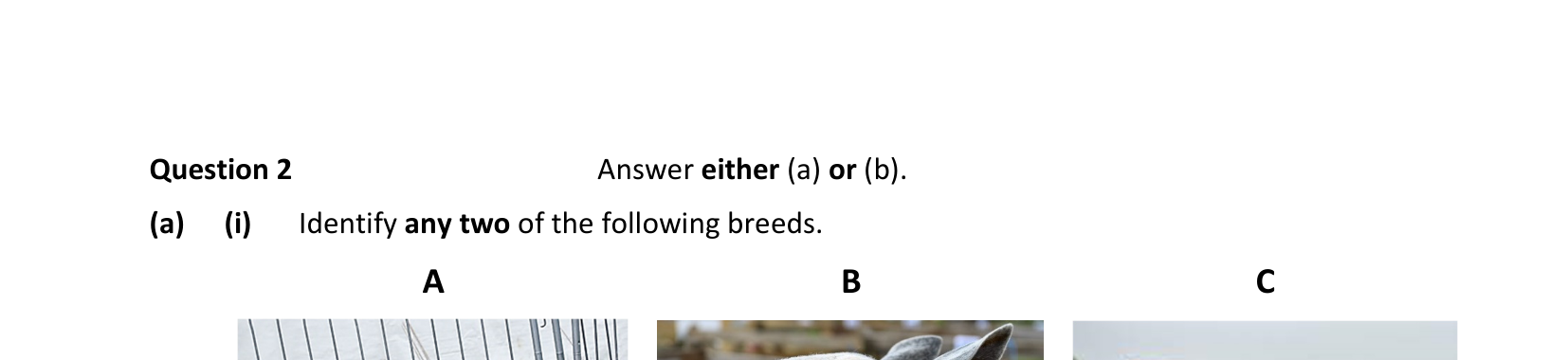 2024 Q2 question
