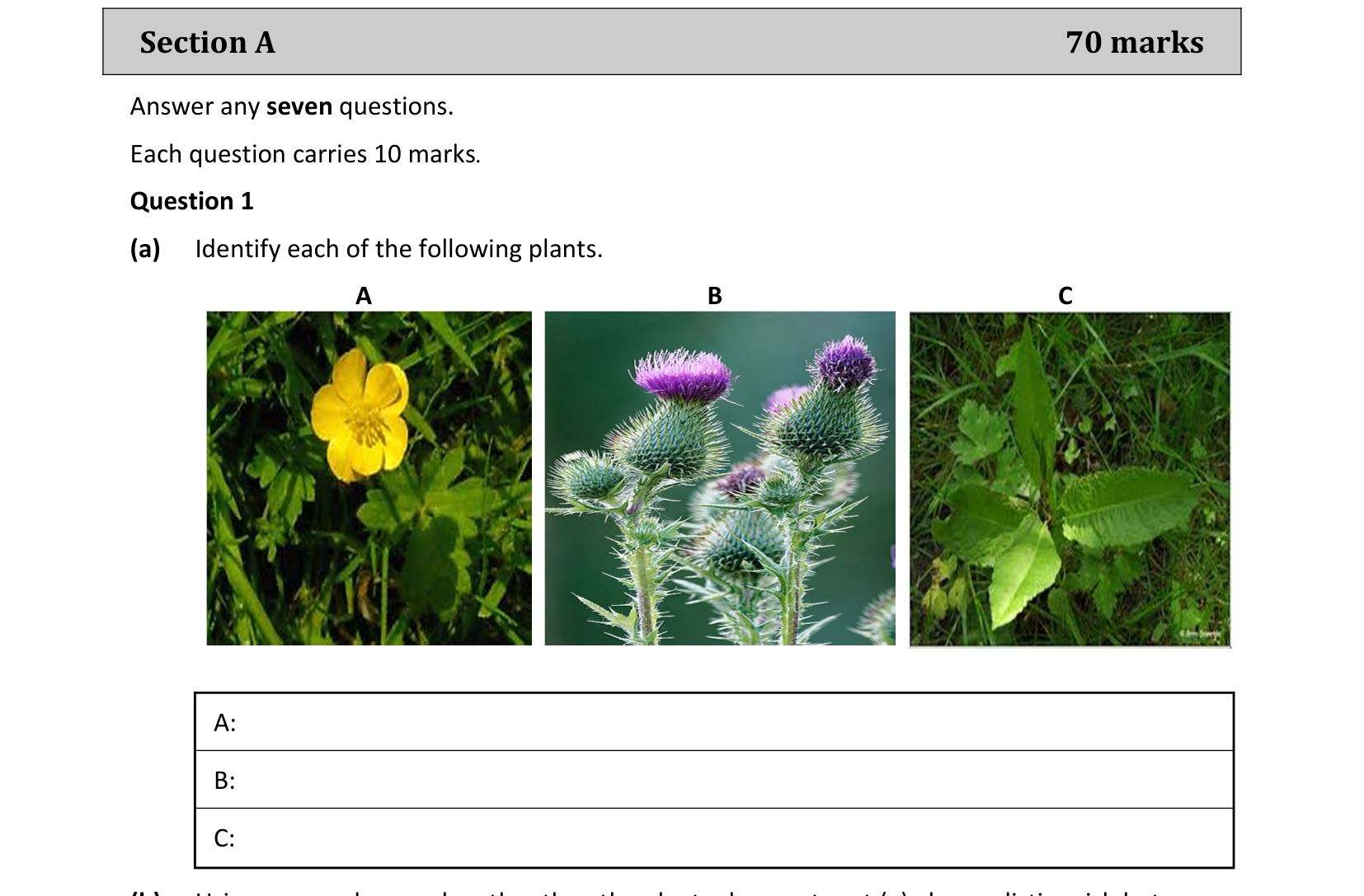 2021 Q1 question