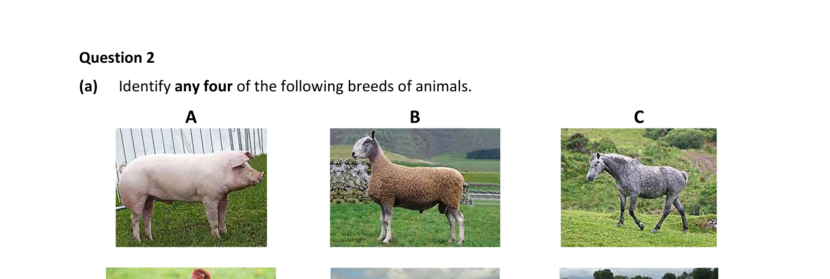 2022 Q2 question