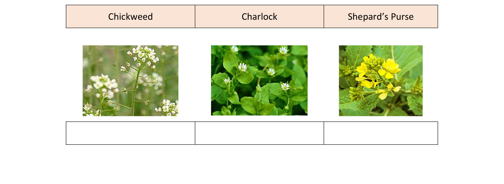 2023 Q2 question