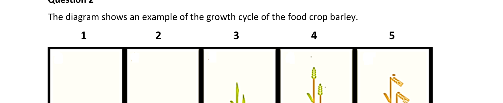 2023 Q2 question