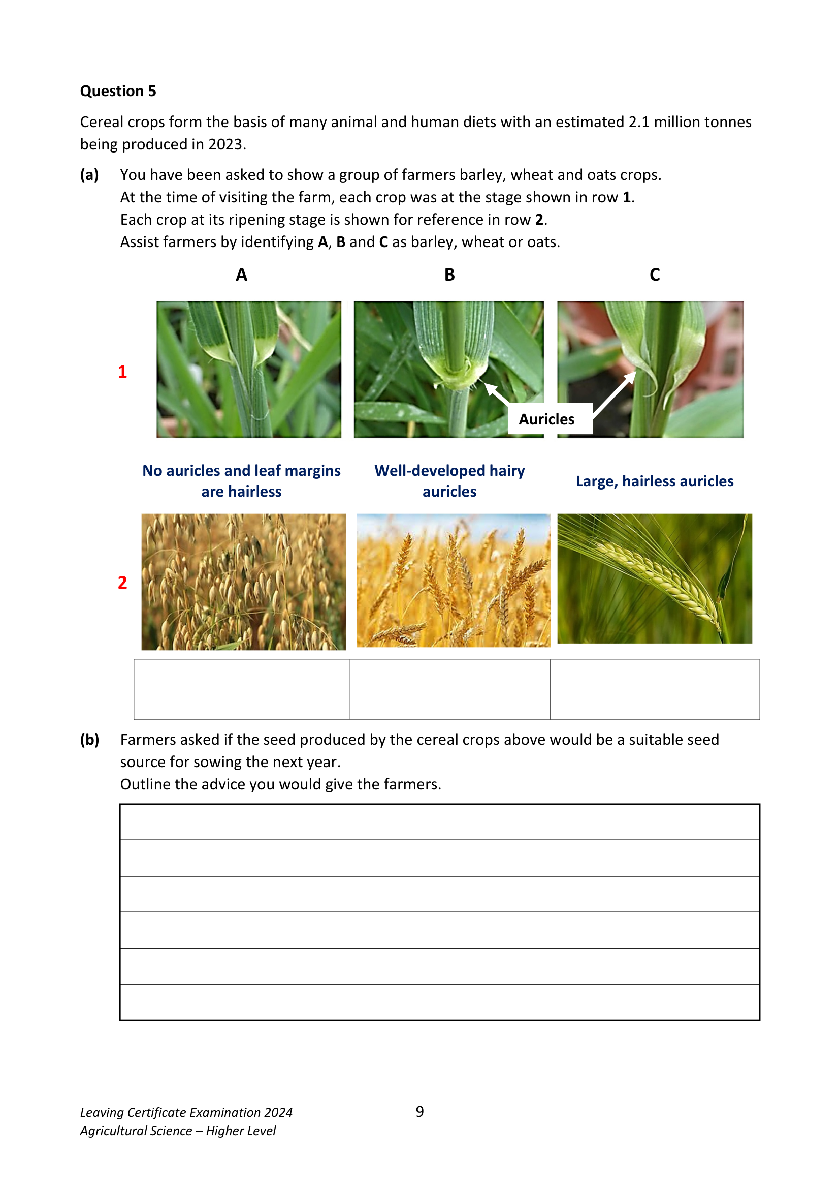 2024 Q5 question