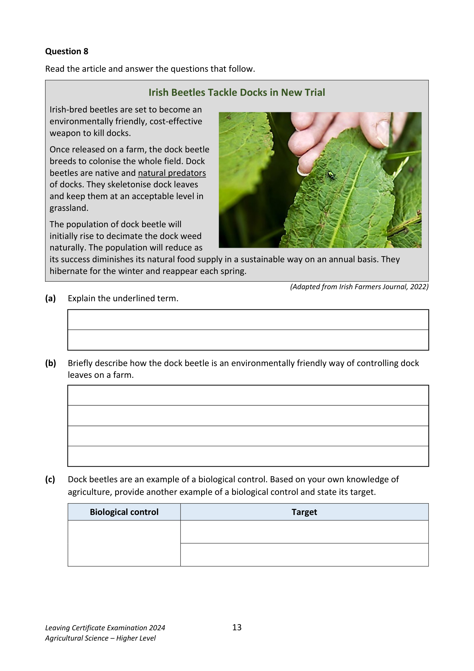 2024 Q8 question
