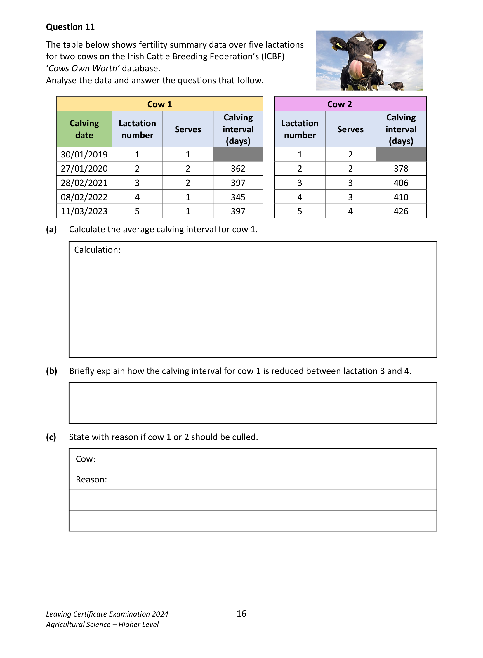 2024 Q11 question