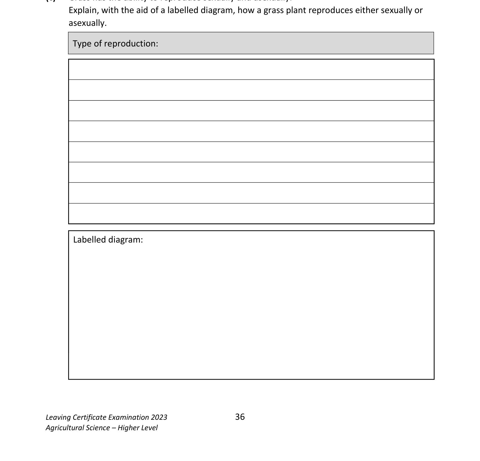 2023 Q17 question