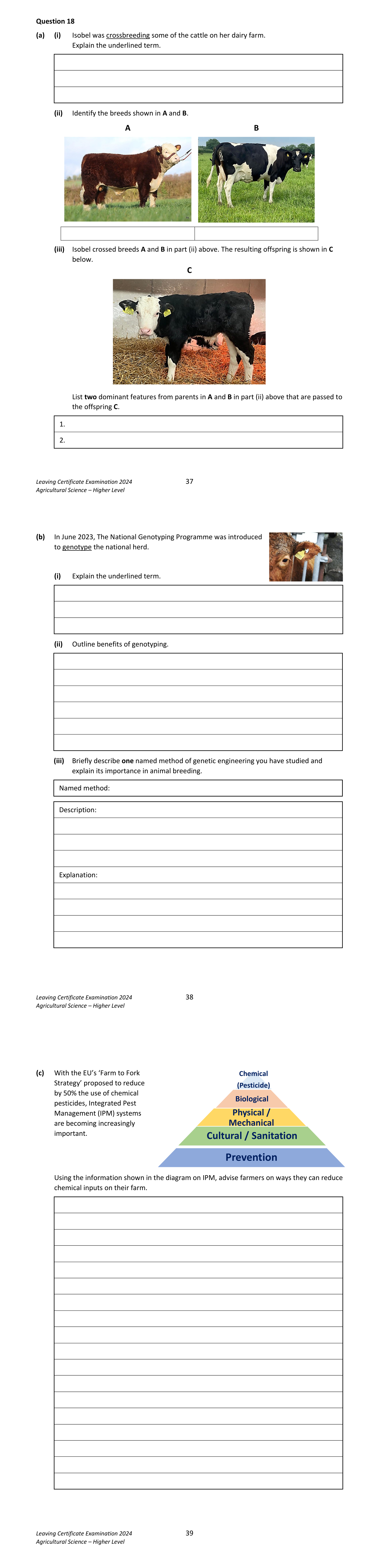 2024 Q18 question