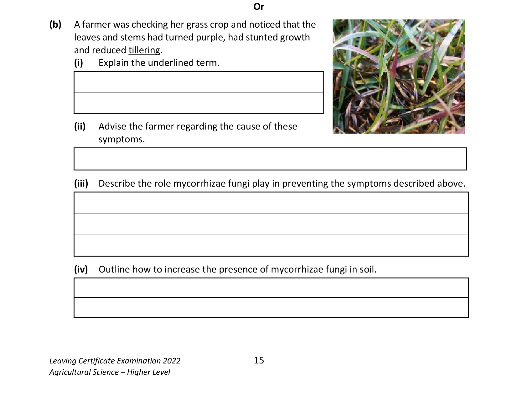 2022 Q11 question