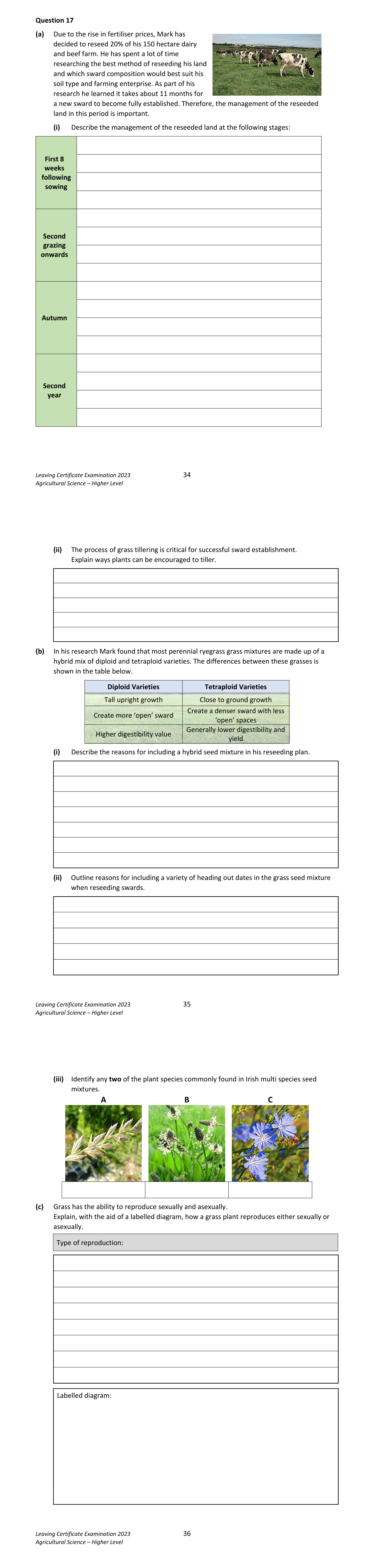 2023 Q17 question