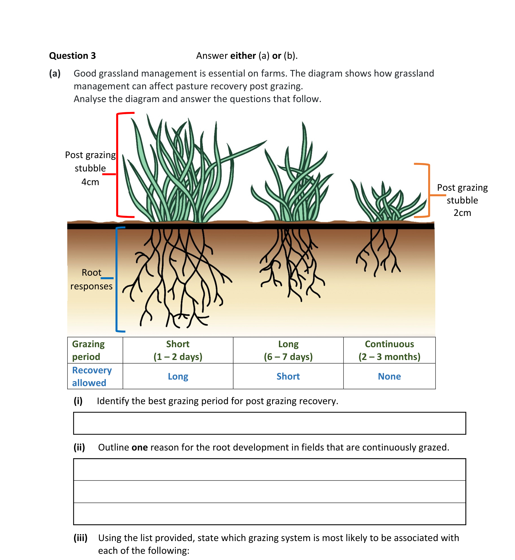 2024 Q3 question