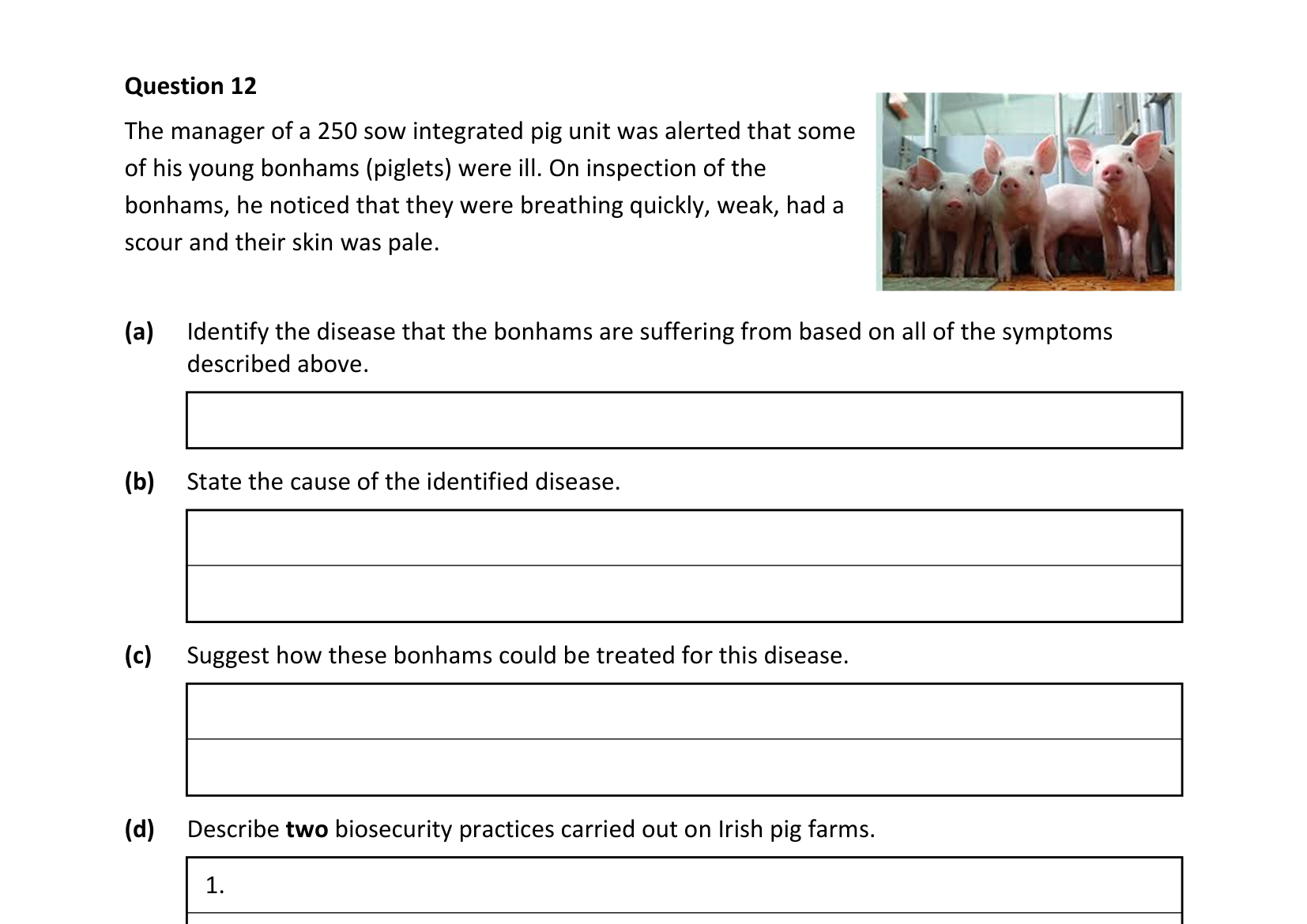 2021 Q12 question