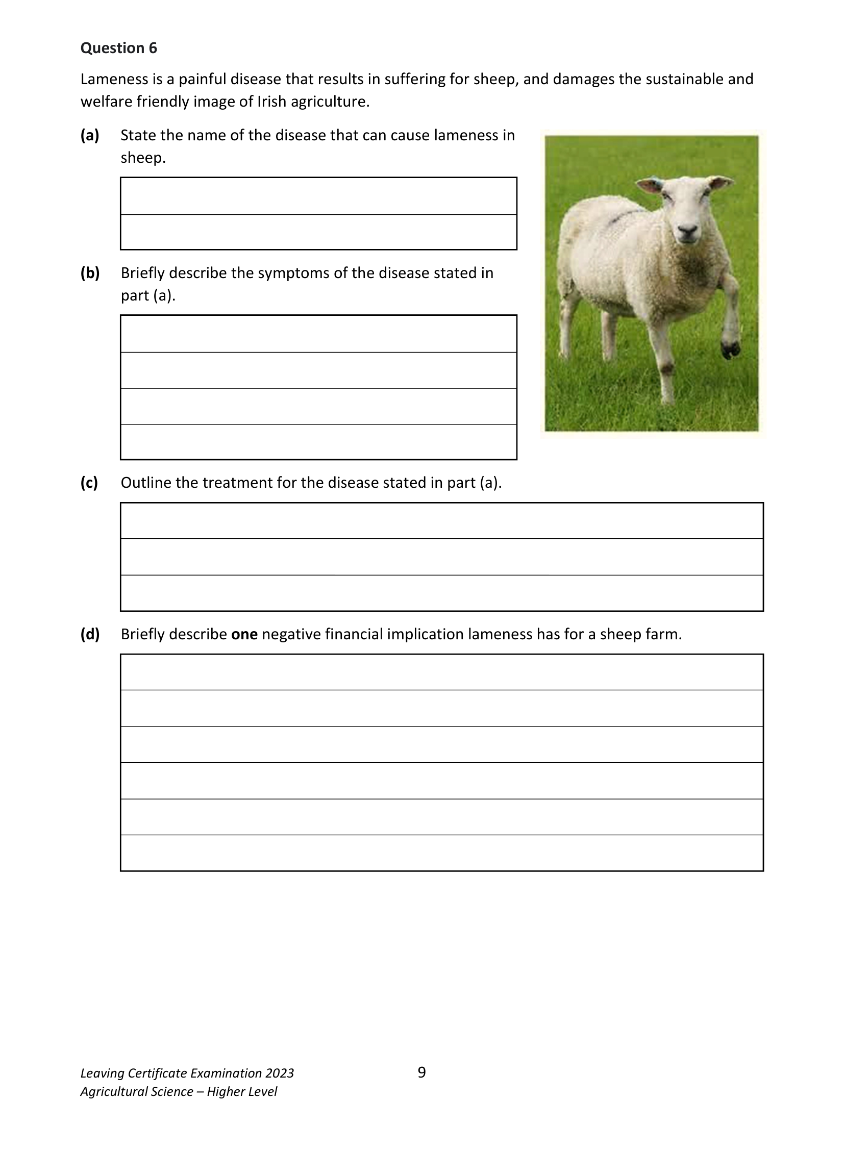 2023 Q6 question