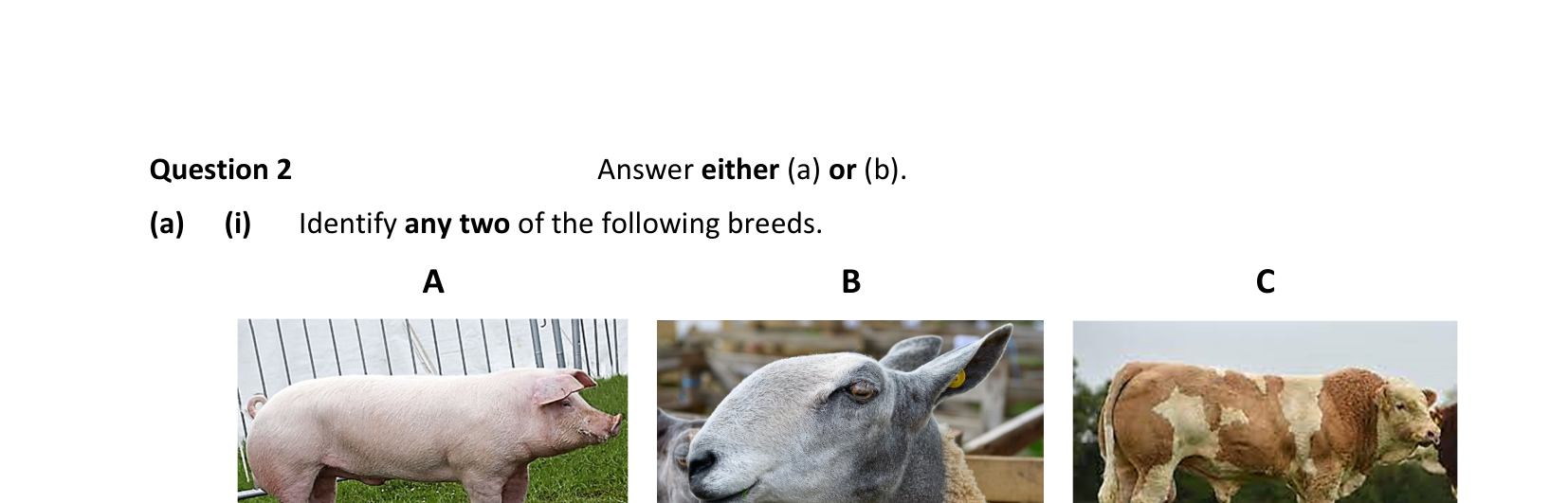 2024 Q2 question