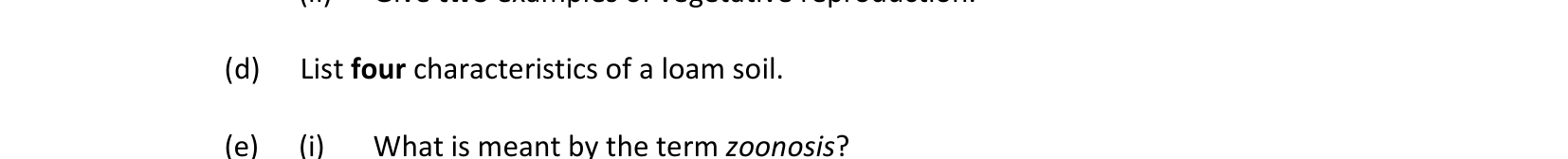 2019 Q1 question