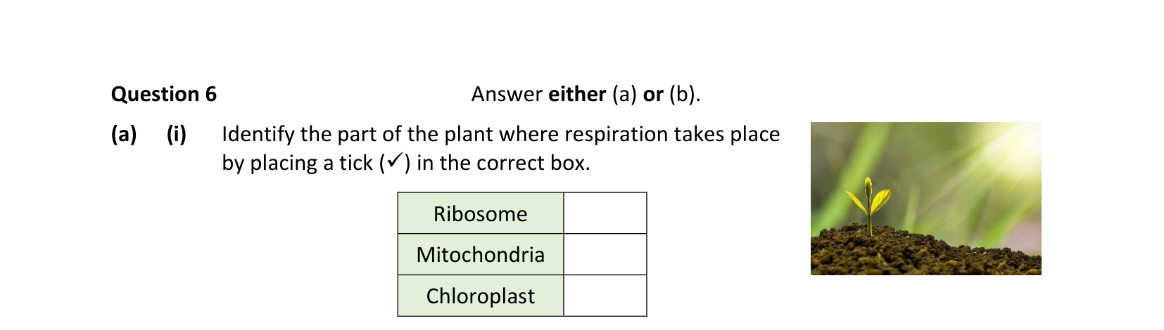 2021 Q6 question