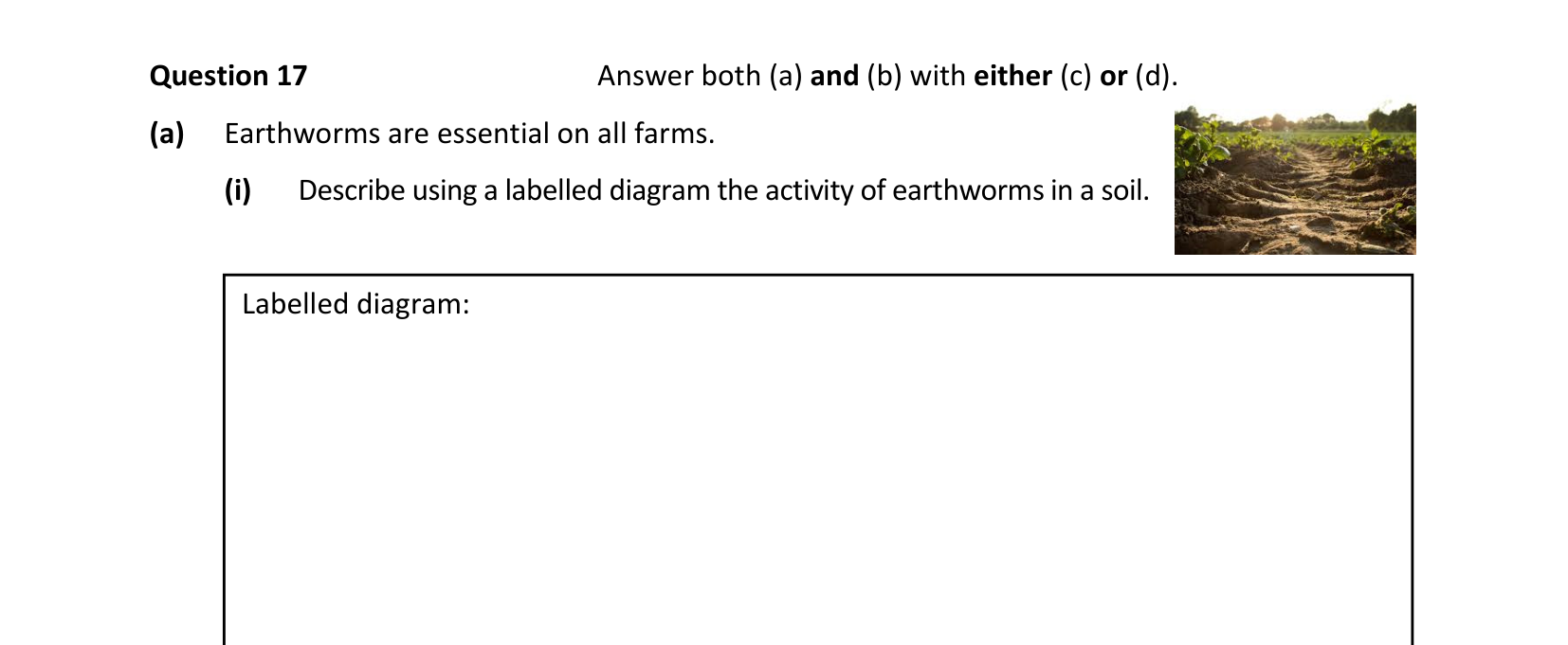 2022 Q17 question
