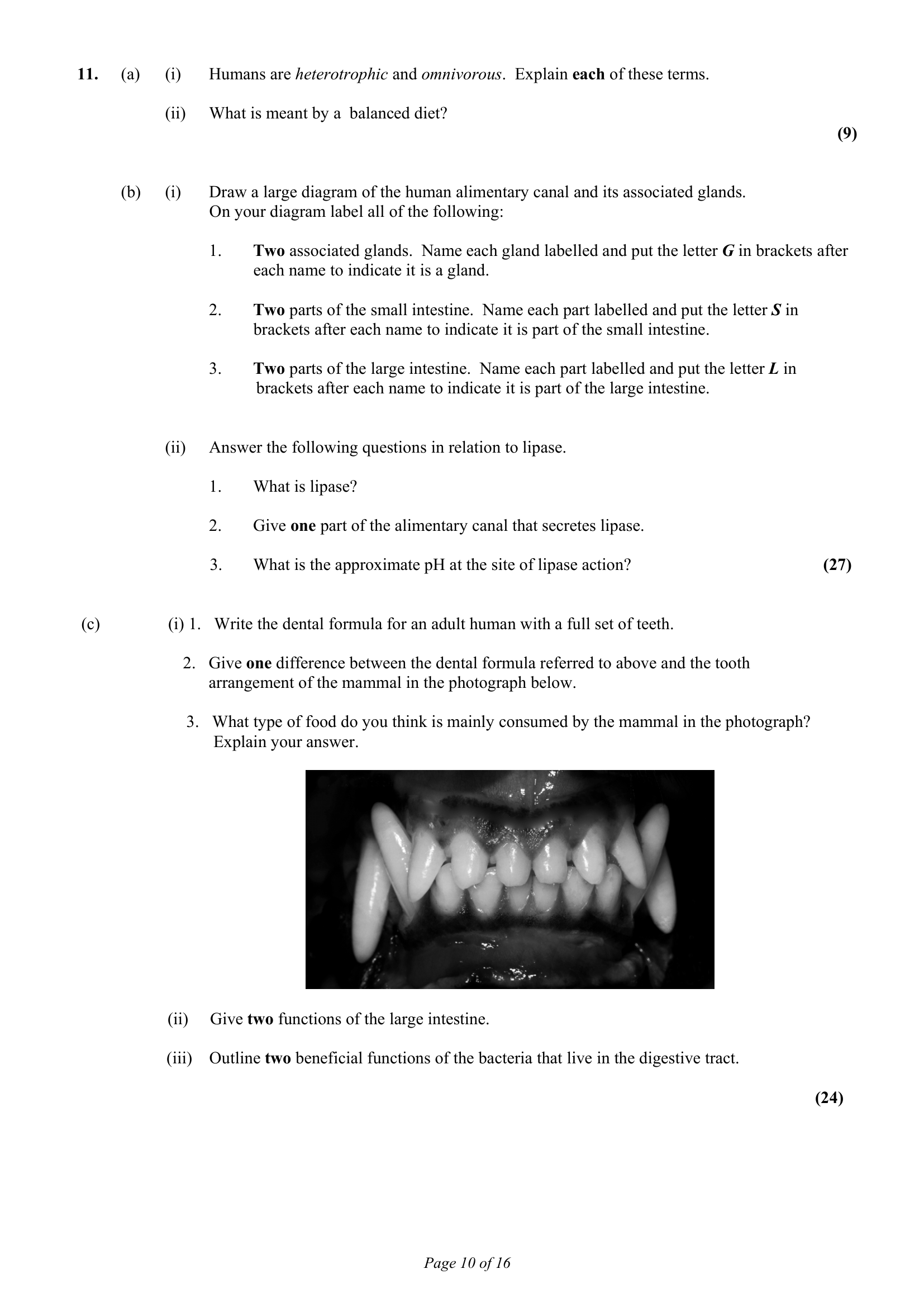 2015 Q11 question