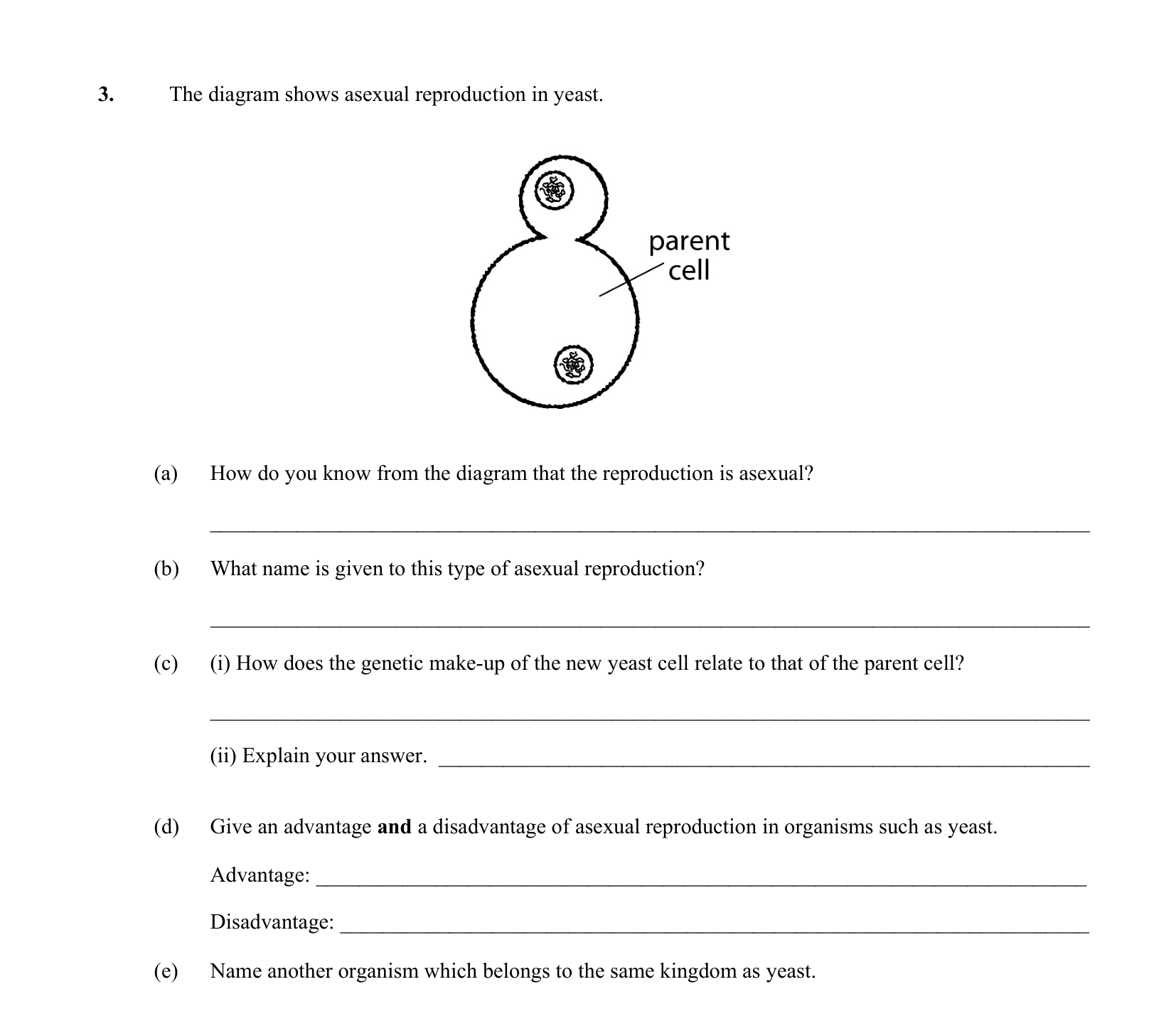 2016 Q3 question