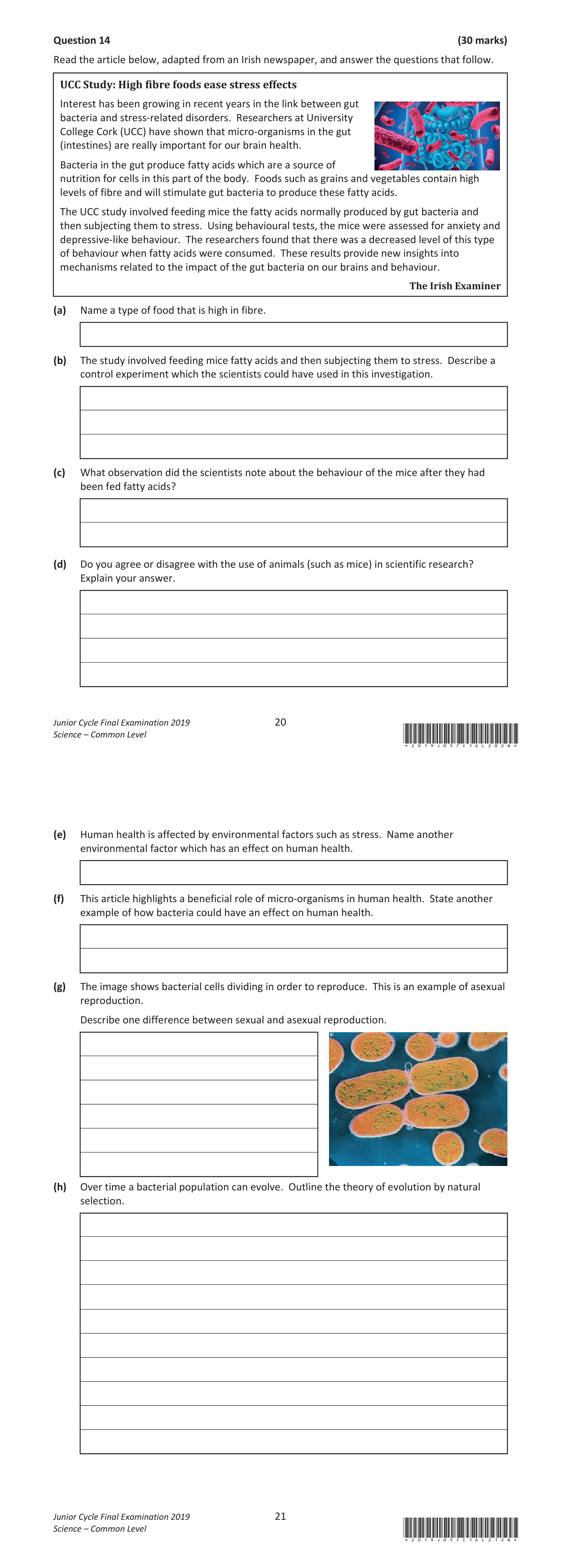 2019 Q14 question