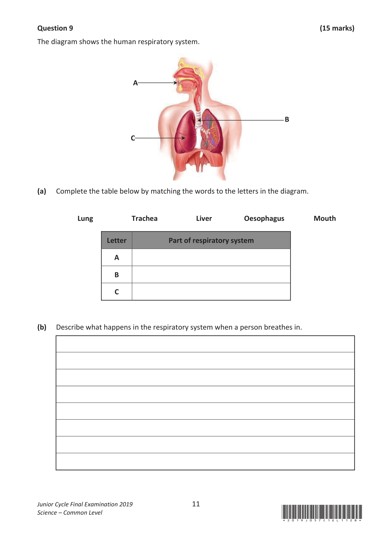 2019 Q9 question