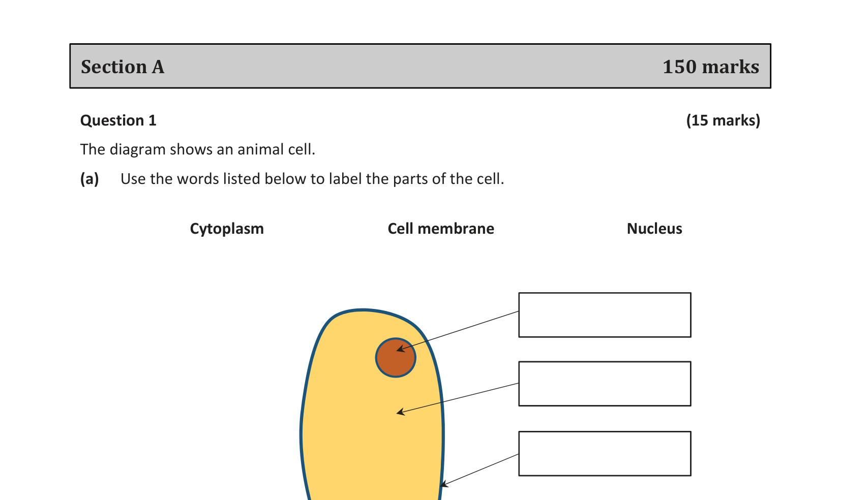 2019 Q1 question