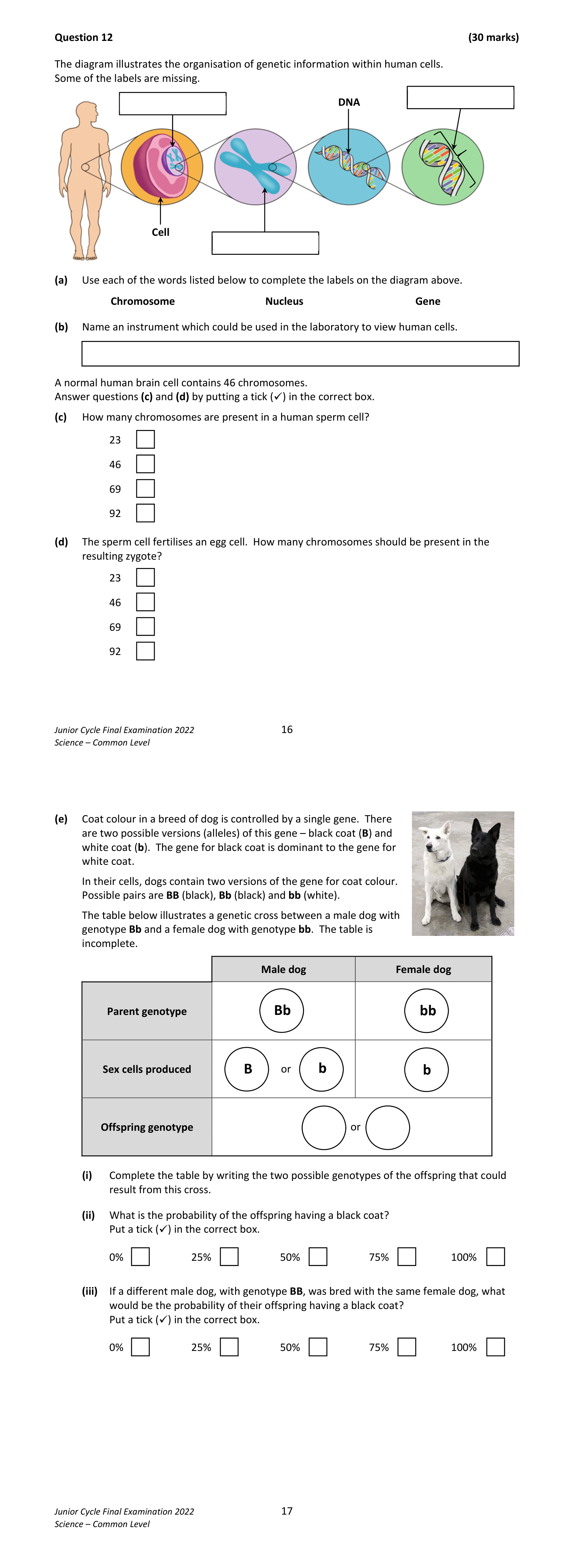 2022 Q12 question